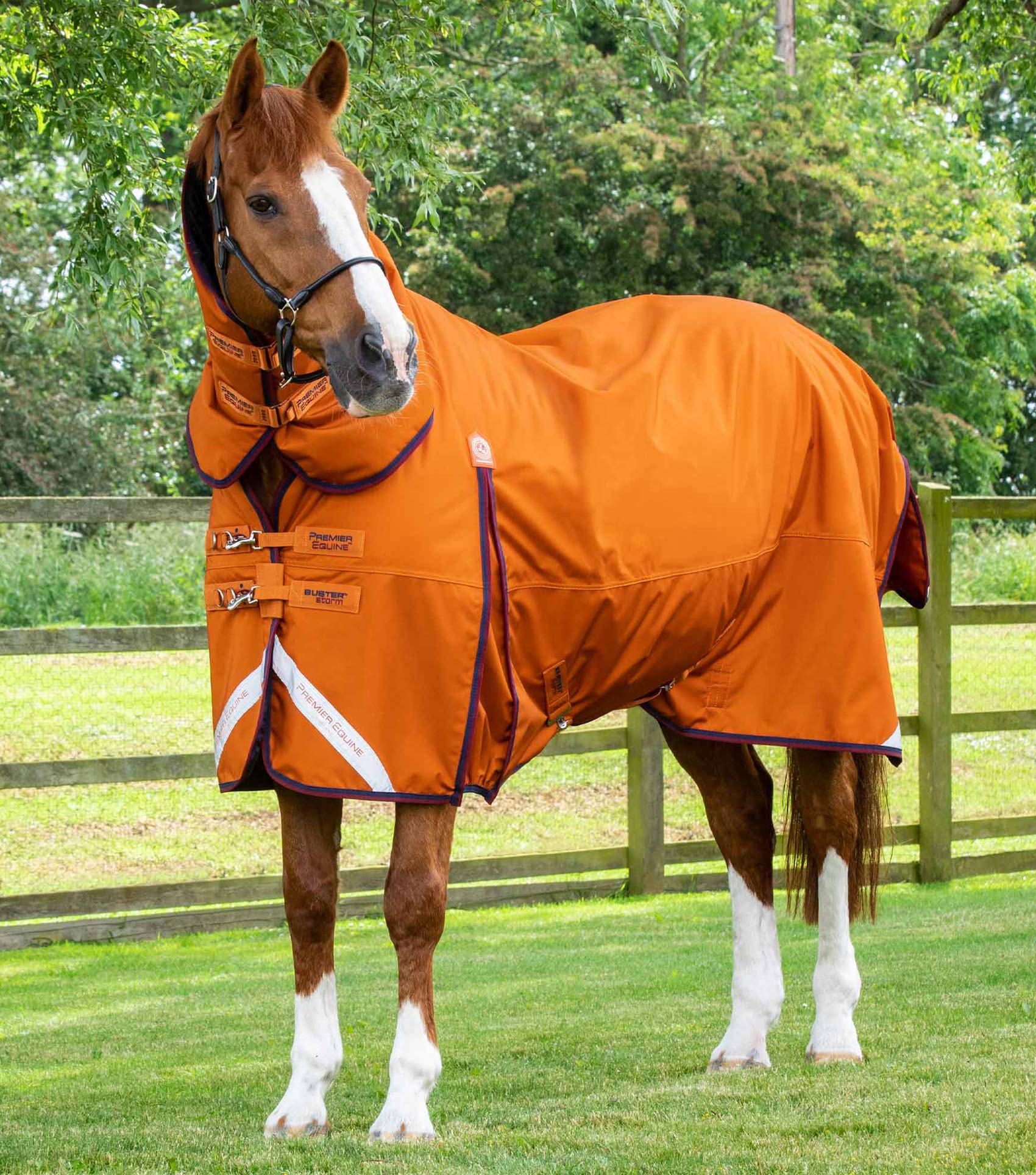 Premier Equine Buster Storm 200g Combo Turnout Rug with Classic Neck