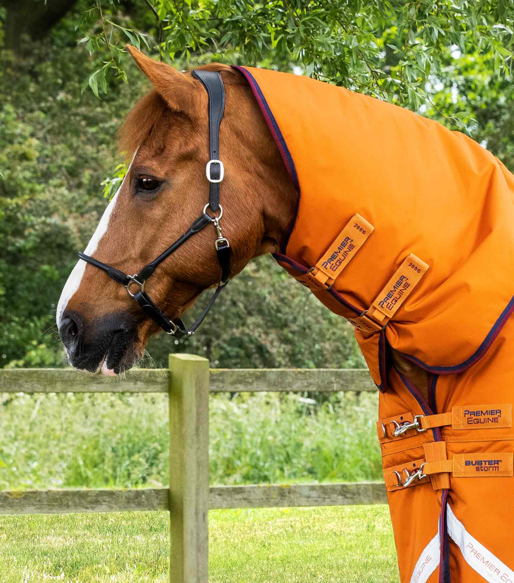 Premier Equine Buster Storm 200g Combo Turnout Rug with Classic Neck