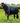 Premier Equine Buster Zero Turnout Rug with Classic Neck Cover