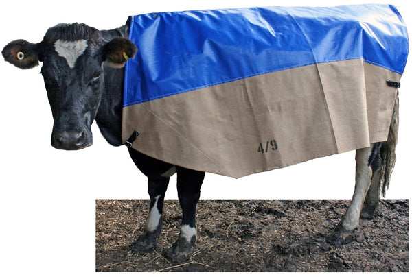 Flair Jute Cow Cover Combo