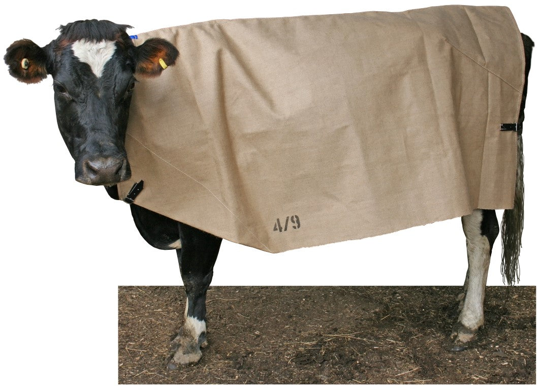 Flair Jute Cow Cover