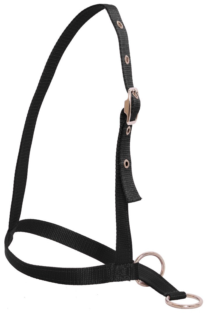 Flair Nylon Leading Calf Halter