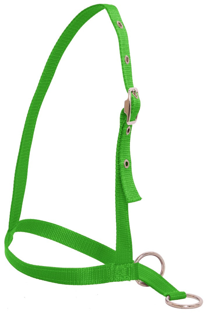 Flair Nylon Leading Calf Halter