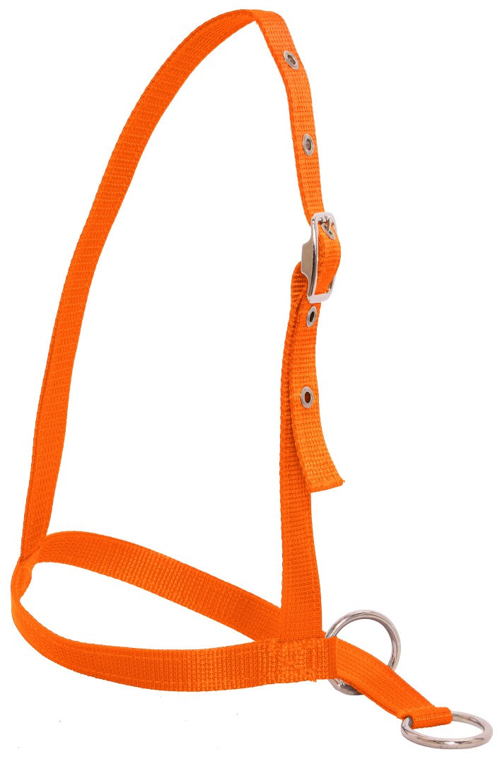 Flair Nylon Leading Calf Halter