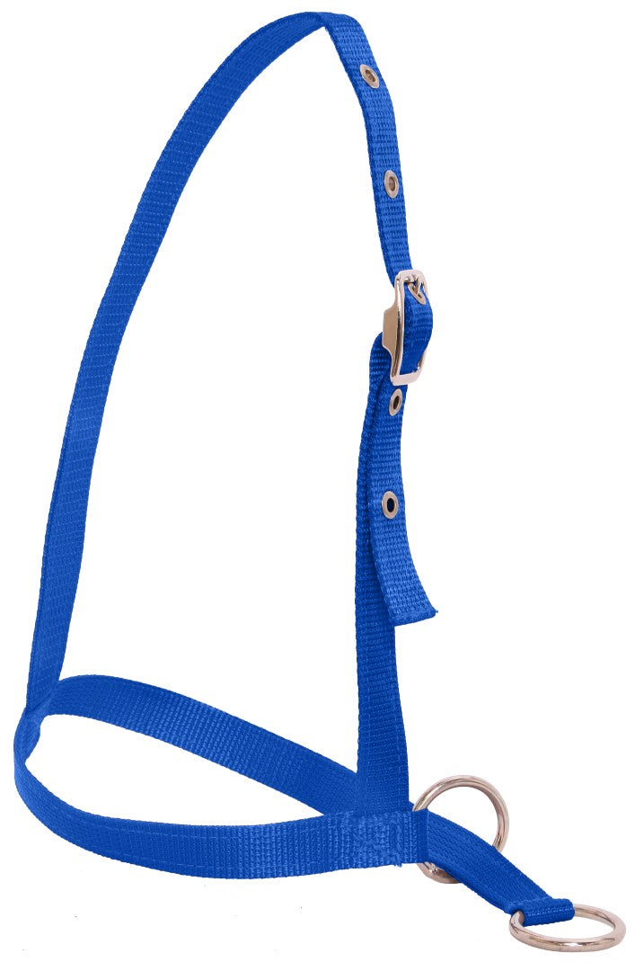 Flair Nylon Leading Calf Halter