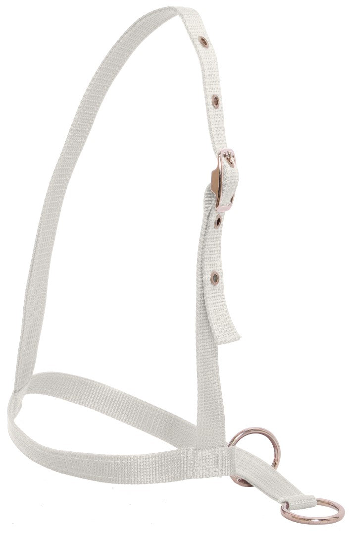 Flair Nylon Leading Calf Halter