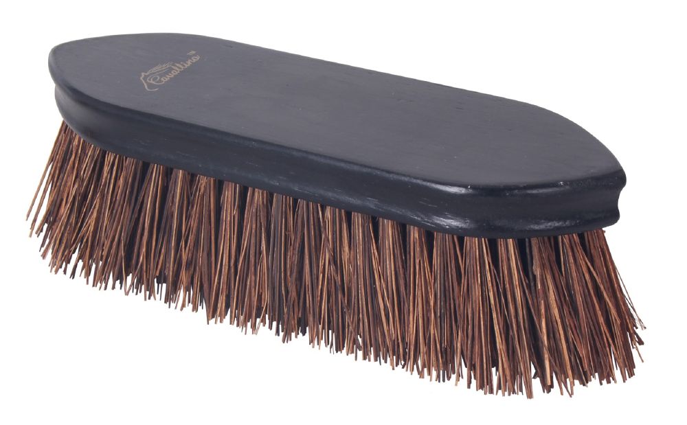 Cavallino Deluxe Dandy Brush with Palm Tree Bristles