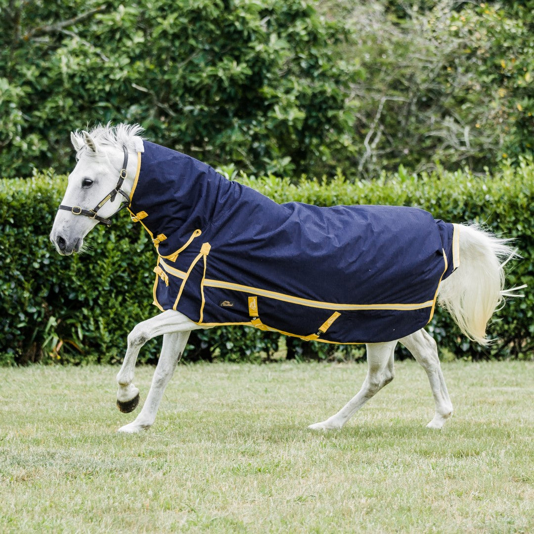 Cavallino Northampton 50gm Turnout Combo - Equine Horse Wear 
