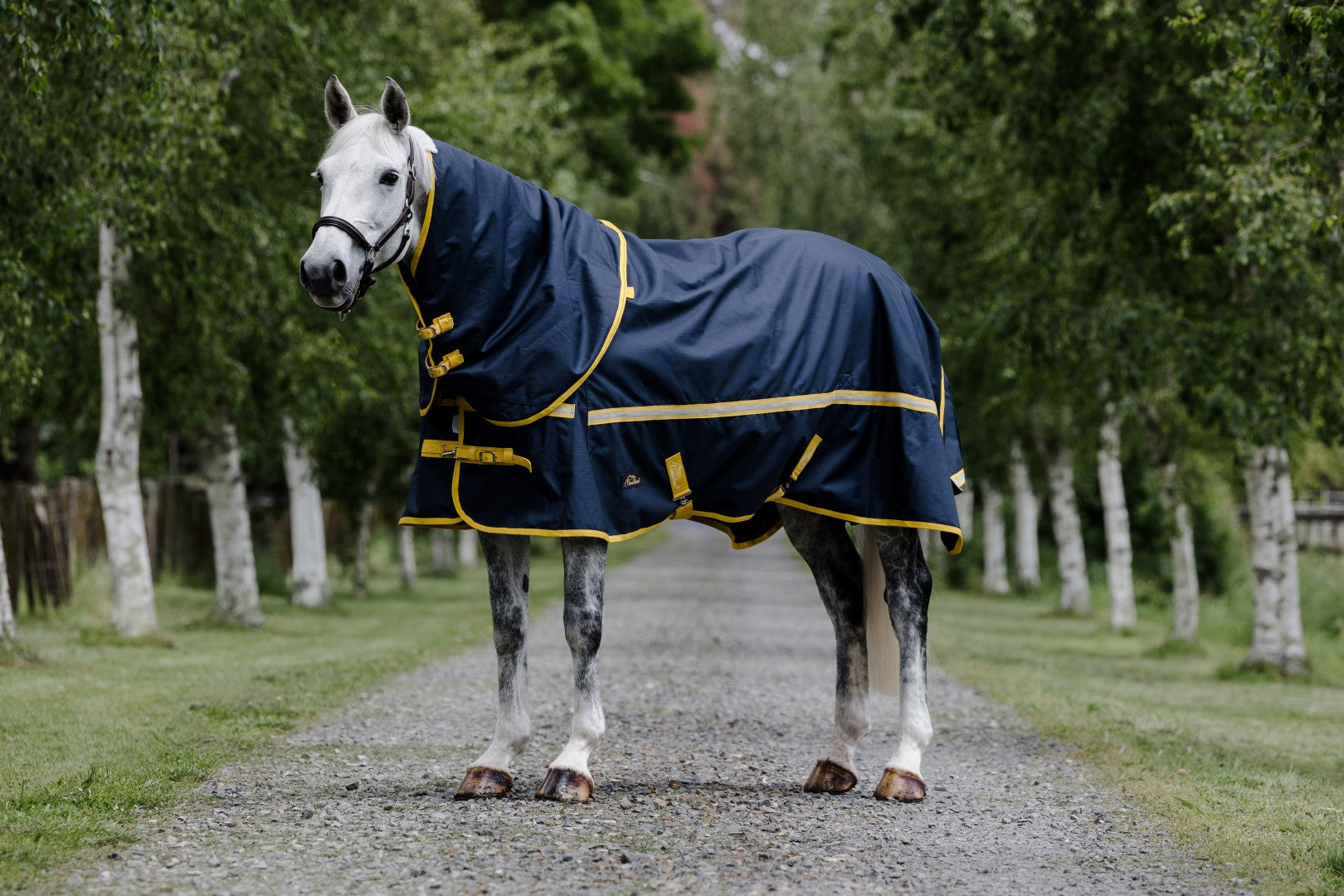 Cavallino Northampton Detach A Neck 50gm - Equine Horse Wear 