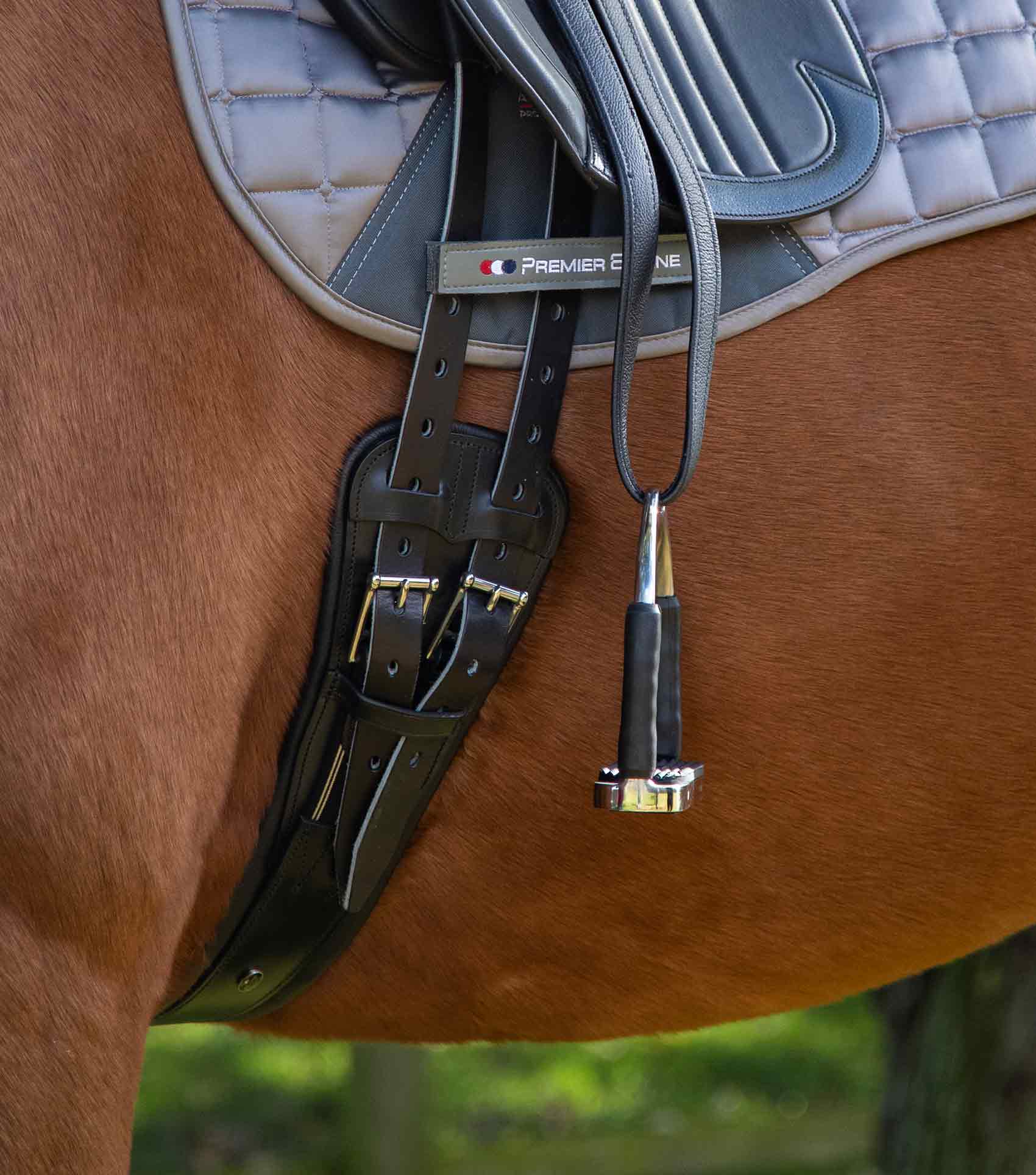 Premier Equine Davoli Leather Girth