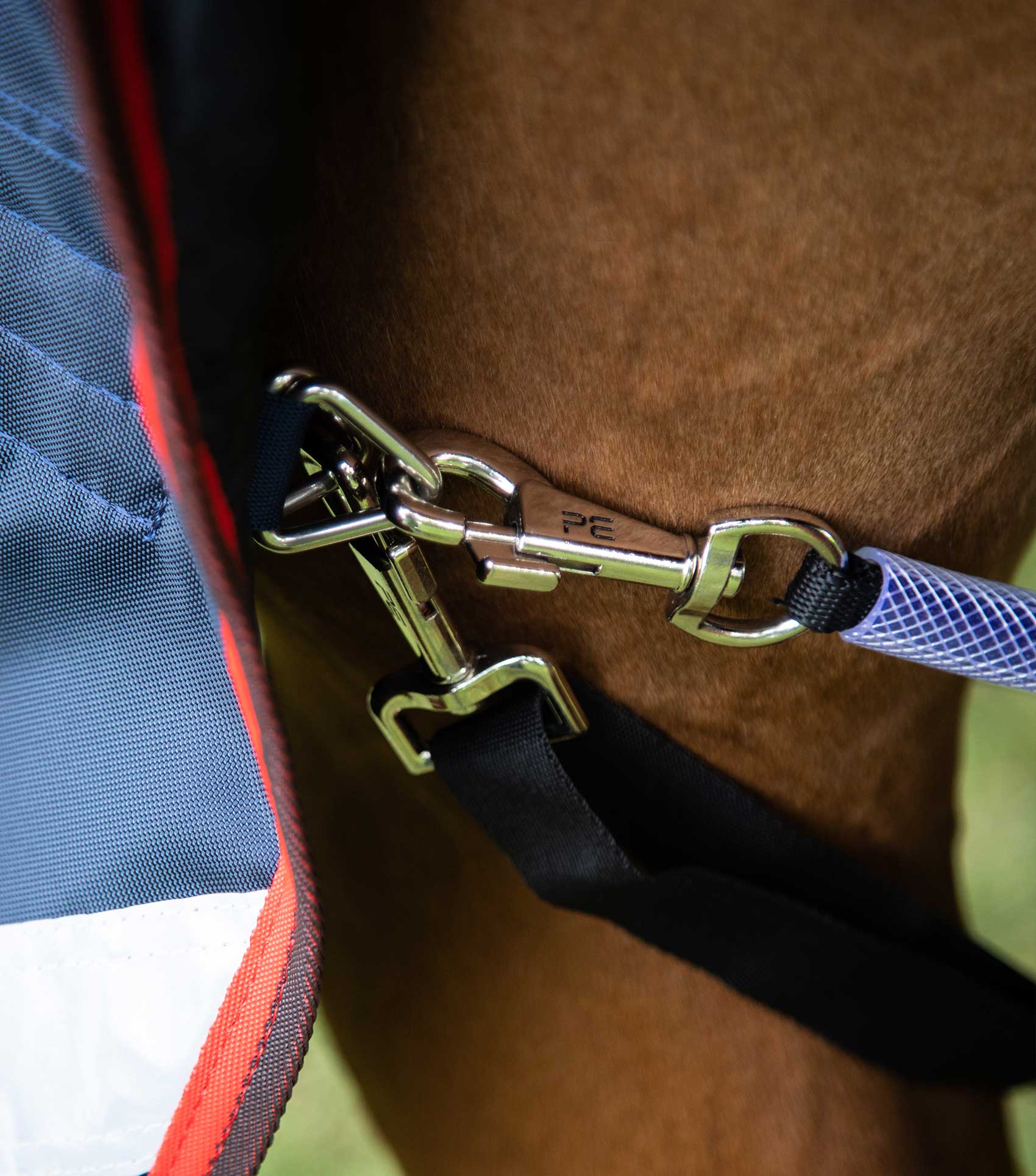 Premier Equine Detachable Leg Straps