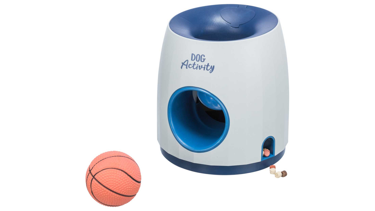 Dog Activity Ball & Treat Strategy Game Level 3 - Dog Toys 