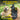 Dogtra 200iQ Dog Training System - 800M - Dog Training