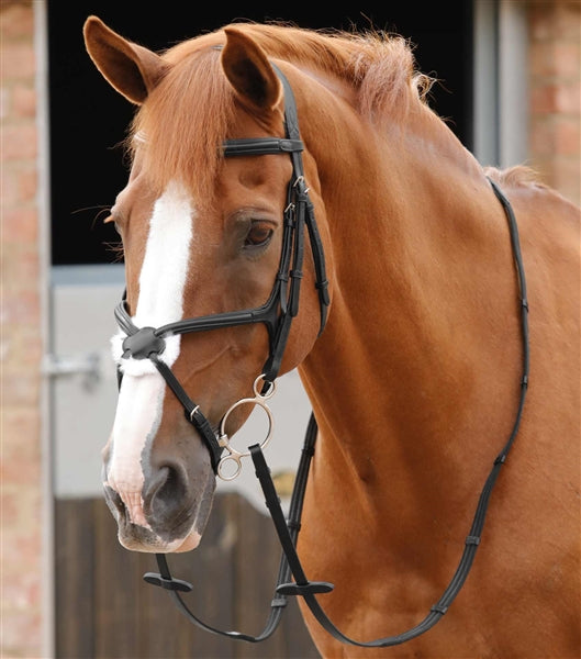 Premier Equine Domenico Web & Rubber Grip Reins