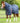 Premier Equine Domus 400g Combo Stable Rug