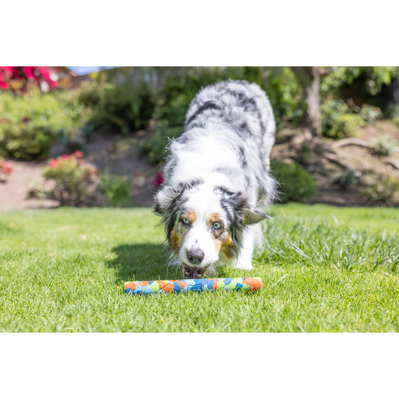 Fetch Sticks Eco Fetch Stick – Kiwi Petz