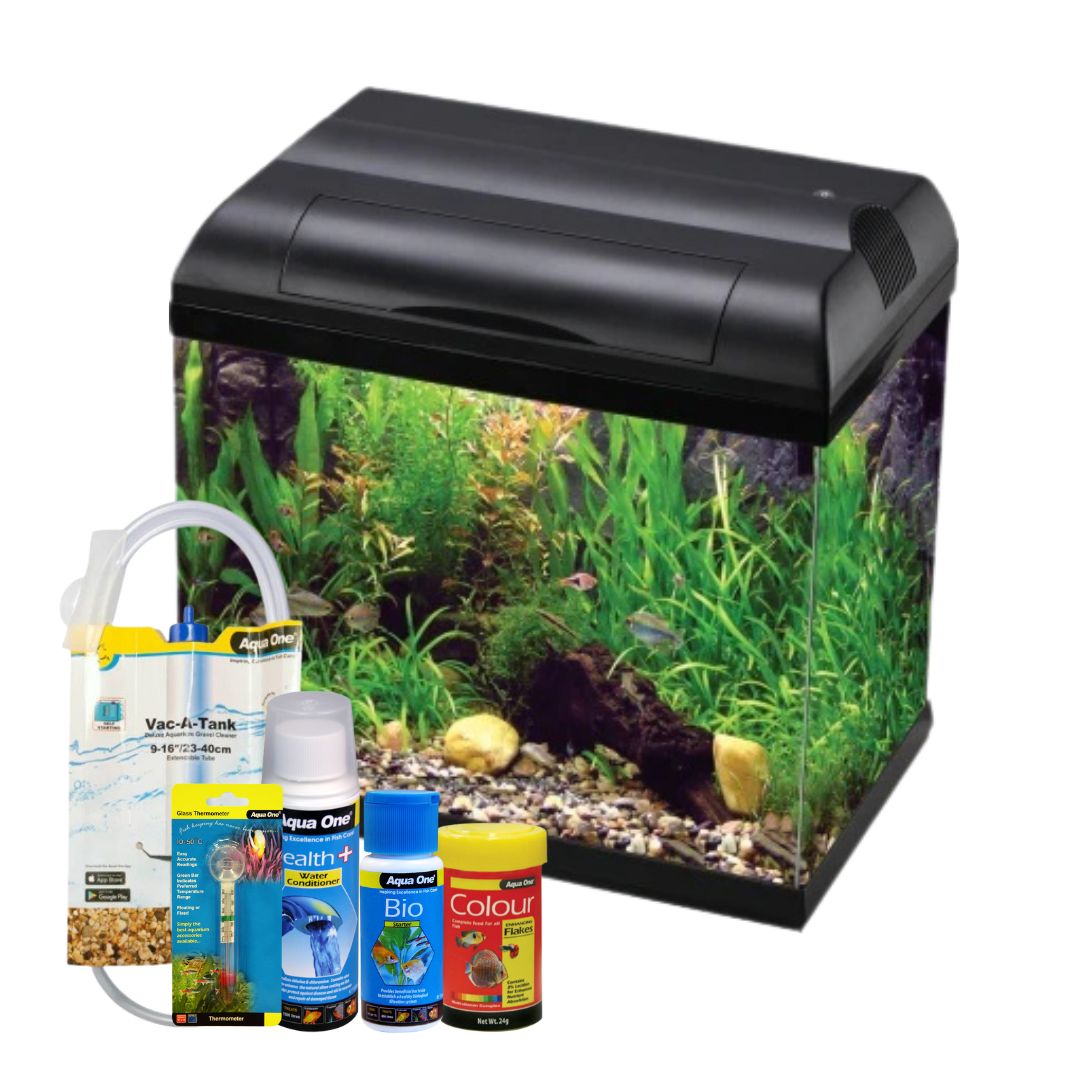 fish tank accessories nz Elegant Resin Bridge for Tanks & Gardens Eye-Catching Decor Fish Tanks & Cabinets