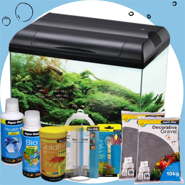 Tauranga pet shop for fish tanks & fish accessories – Kiwi Petz