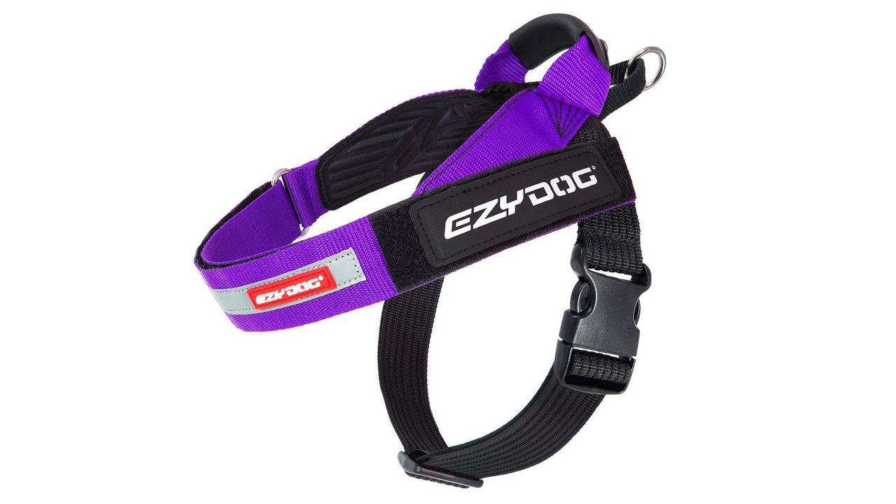 EzyDog Express Harness Purple - Dog Collars, Leashes & Harnesses 
