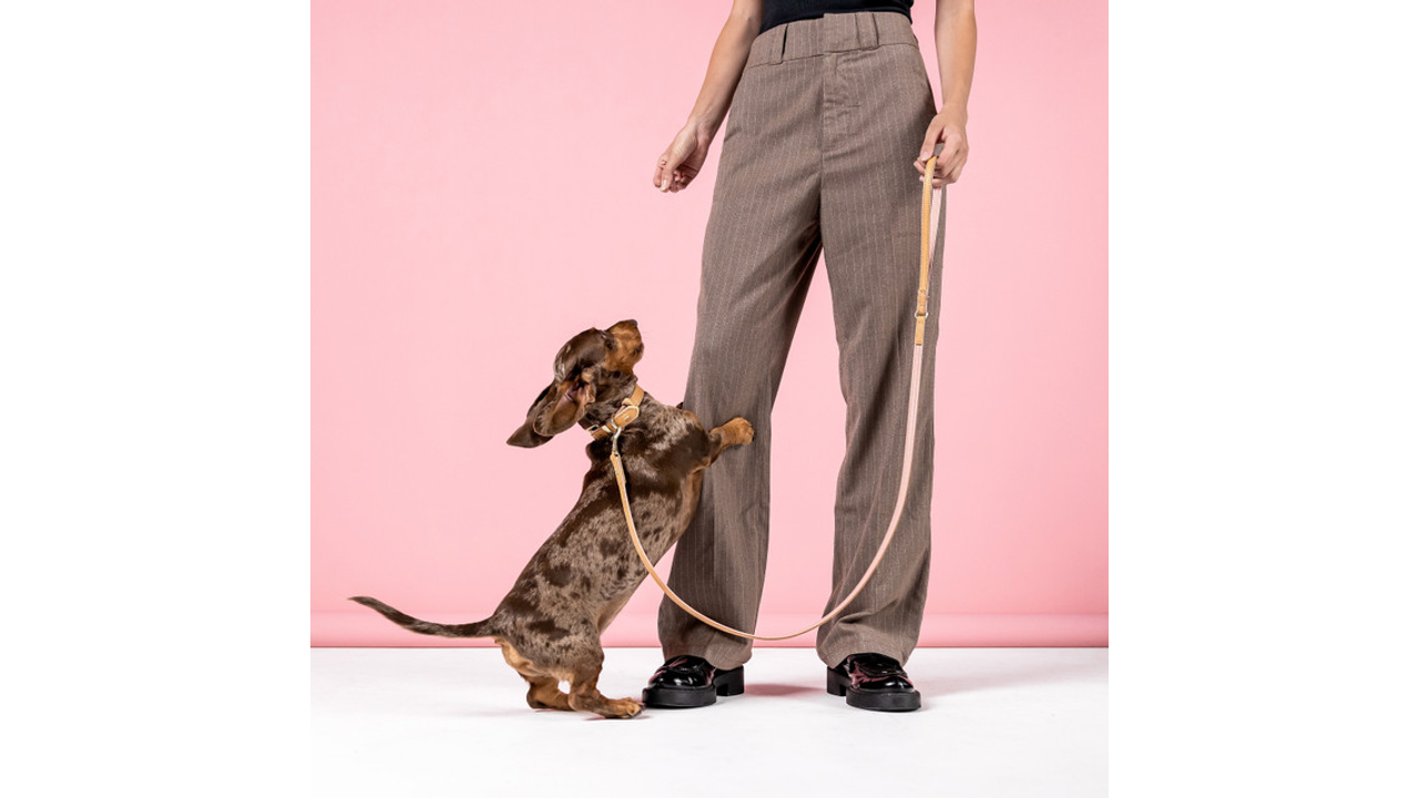 EzyDog Oxford LITE Leather Dog Leash Blush 120cm - Dog Collars, Leashes & Harnesses 