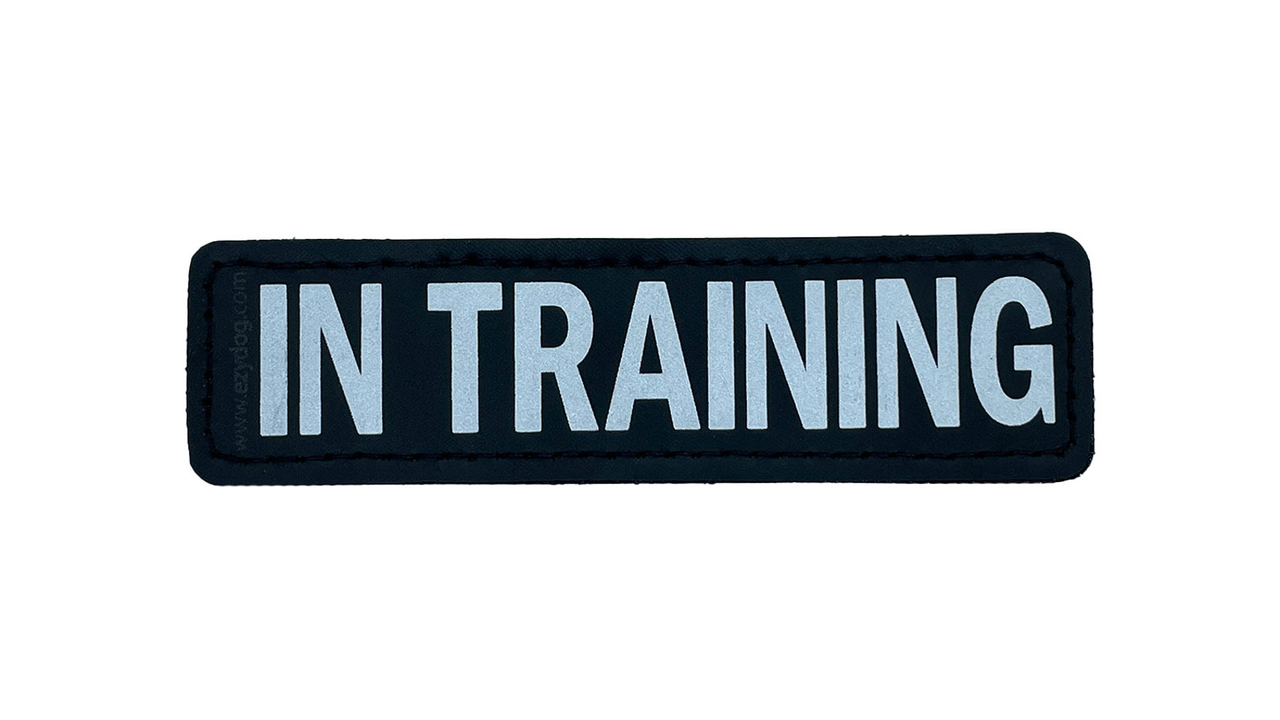 EzyDog Side Patch 'IN TRAINING' - Dog Collars, Leashes & Harnesses 