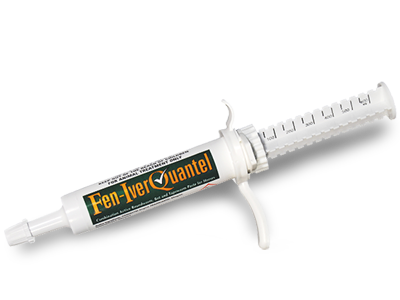 Fen-IverQuantal Paste 30ml - Equine Internal & External Parasites 