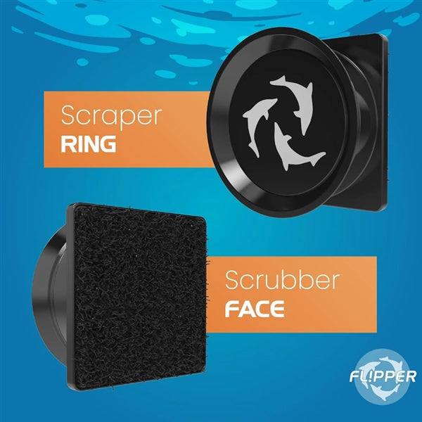 Flipper Pico 2in1 Scraper Black