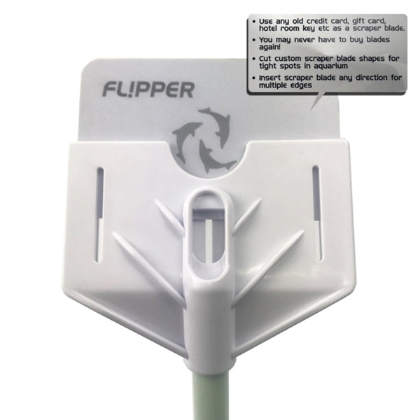 Flipper Platinum Scraper