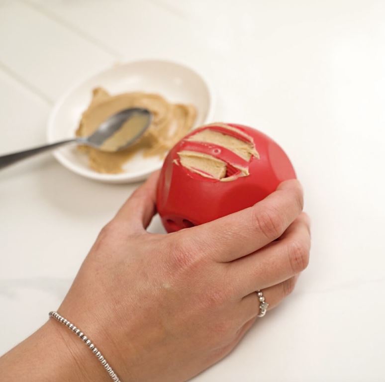 Frogg Bobbly Ball Treat Ball - Dog Toys - Medium-Large