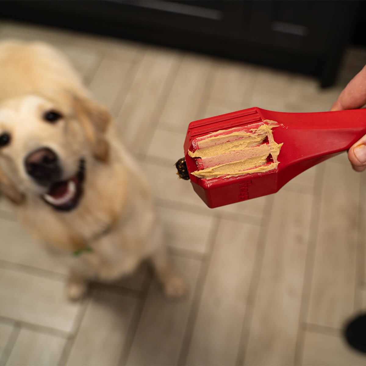 Frogg Fetch Puzzle Treat Toy - Dog Toys - Default Title