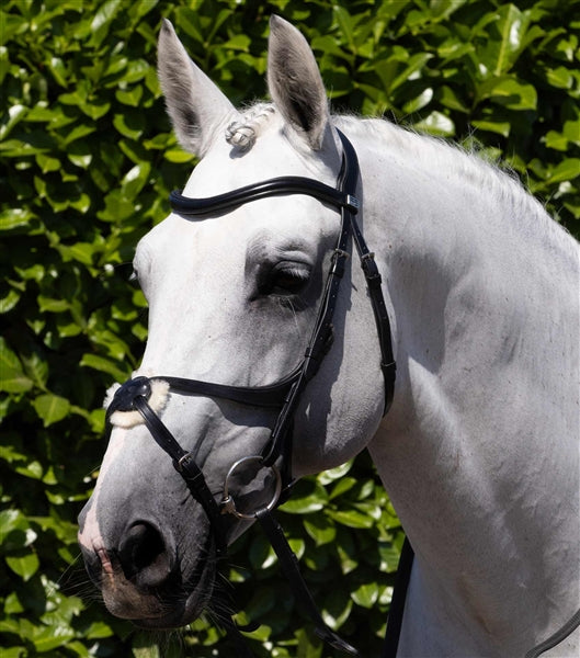 Premier Equine Glorioso Grackle Bridle