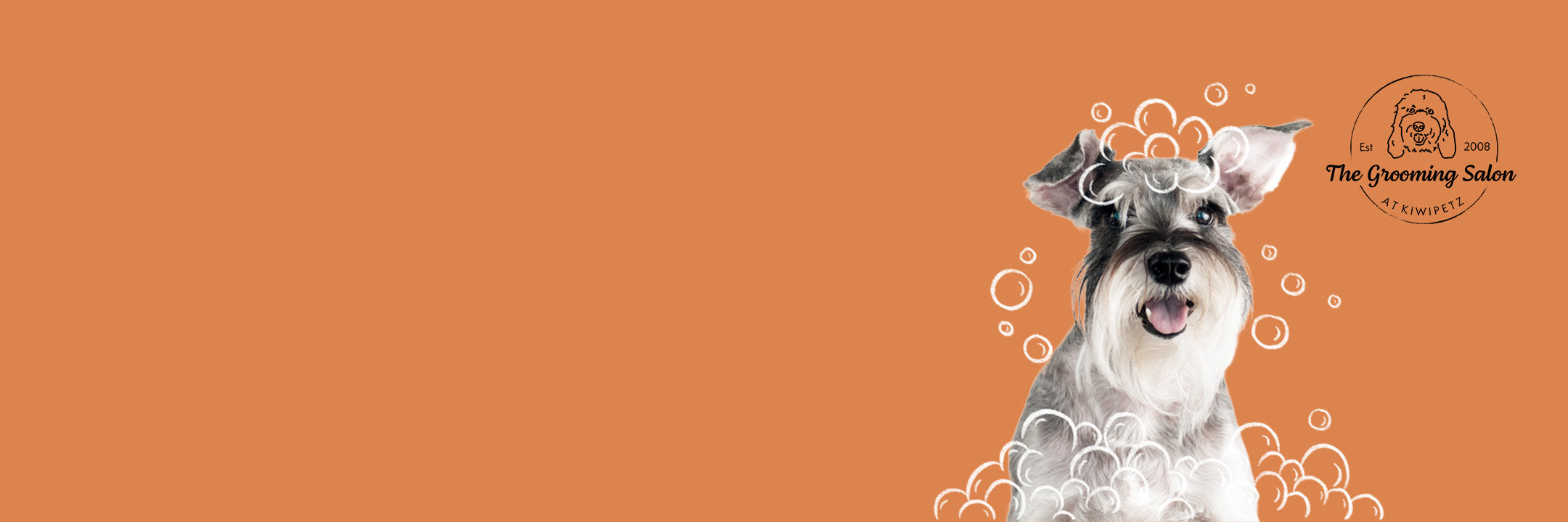 Dog grooming near me? Pet groomers in Tauranga The Grooming Salon