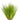 Hair Grass Live Plant (Eleocharis Parvulus) - Live Fish & Plants 