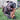 Happy Staffy Chewzilla Staffy Balboa Tough Dog Toy - Dog Toys