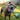 Happy Staffy Perflex Jungle Trek Collection Tough Dog Toys - Dog Toys