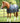 Premier Equine 100g Horse Rug Liner