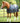 Premier Equine 350g Horse Rug Liner