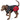 Hunter Uppsala Cozy Coat Anthracite/Red - Dog Clothing 