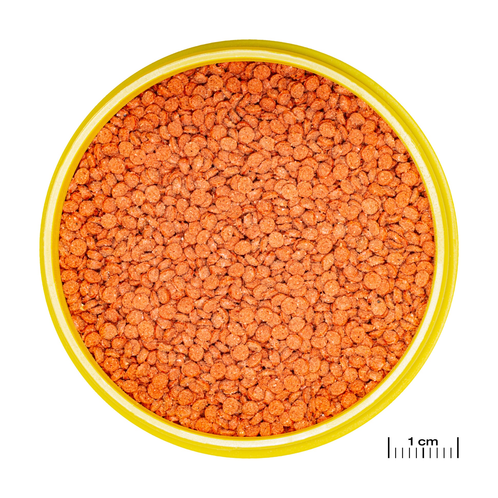 JBL ProNovo Bits CLICK M Grano 250ml - Fish Tank Food 