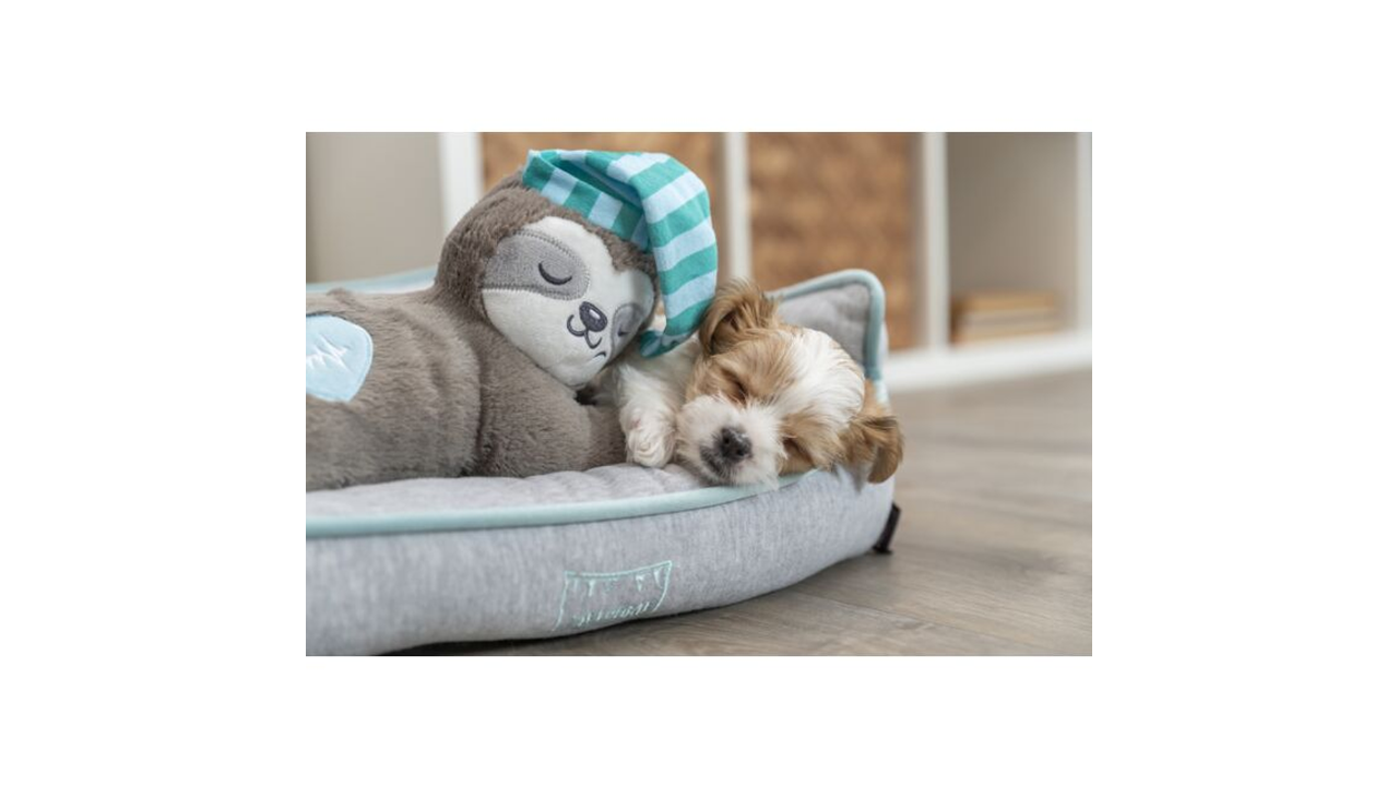 Junior Sloth with Heartbeat - Dog Toys 