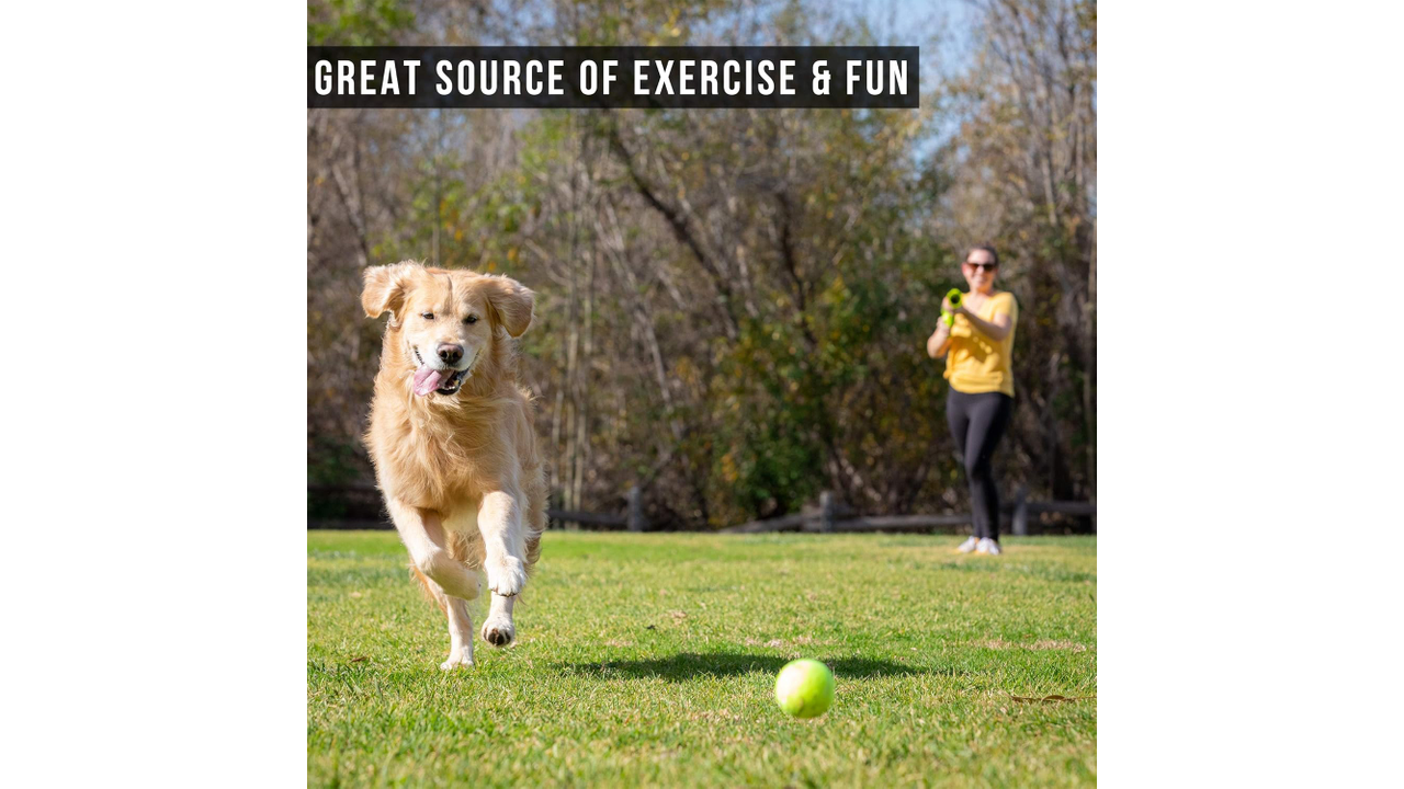 K9K2 Kannon Tennis Ball Launcher - Dog Toys 