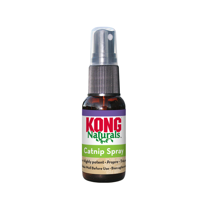 Kong Catnip Spray 30ml - Cat Health & Wellbeing - Default Title
