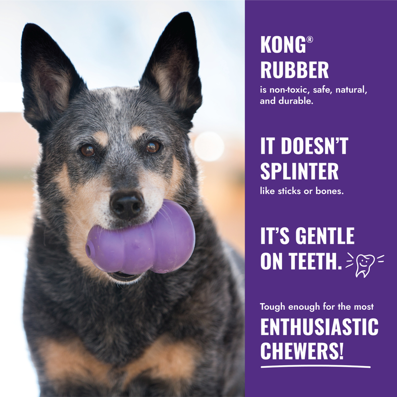 Kong Senior - Dog Toys - Medium-Large