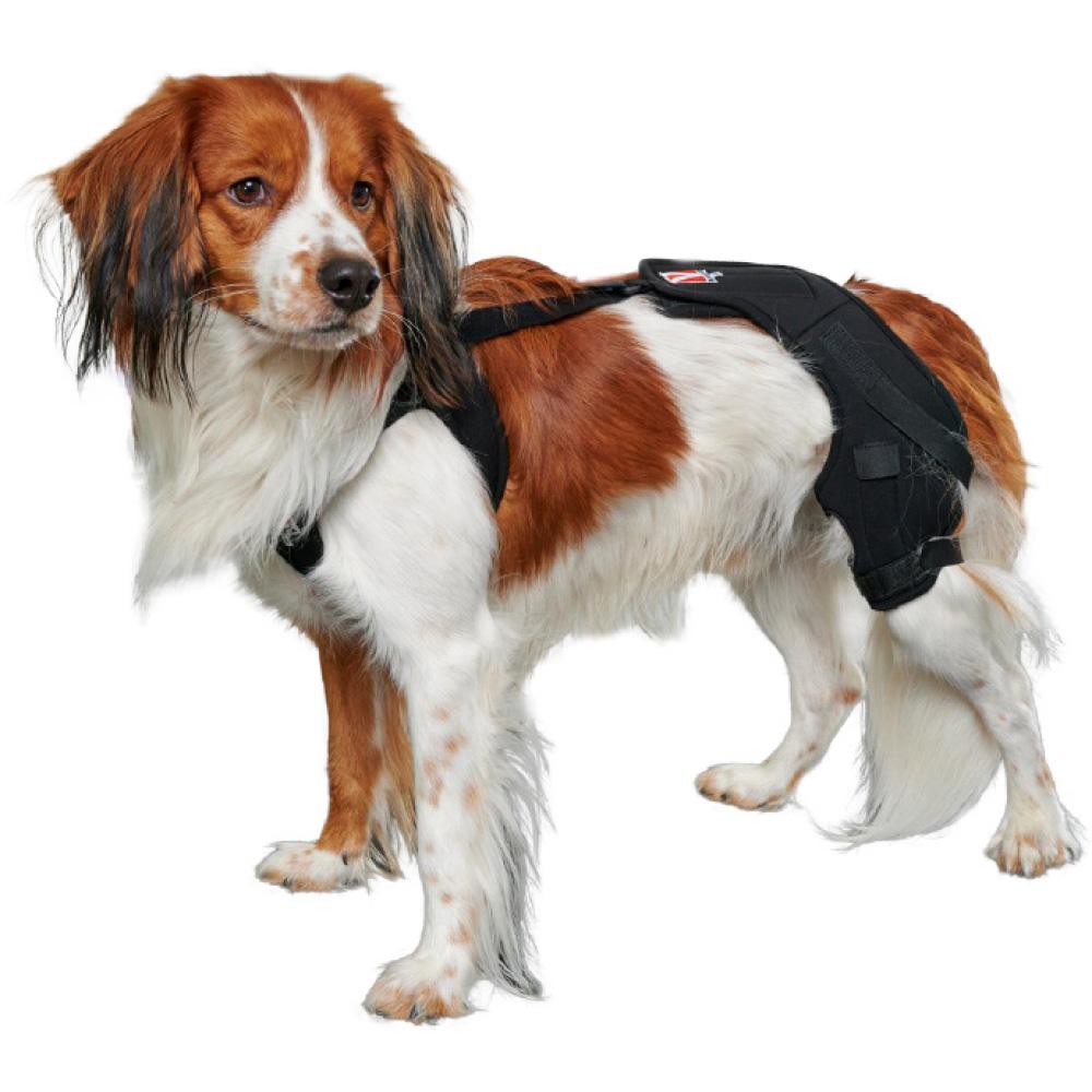 Kruuse Rehab Knee Pro Protector Left XS - Veterinary Canine Wound Care & First Aid 