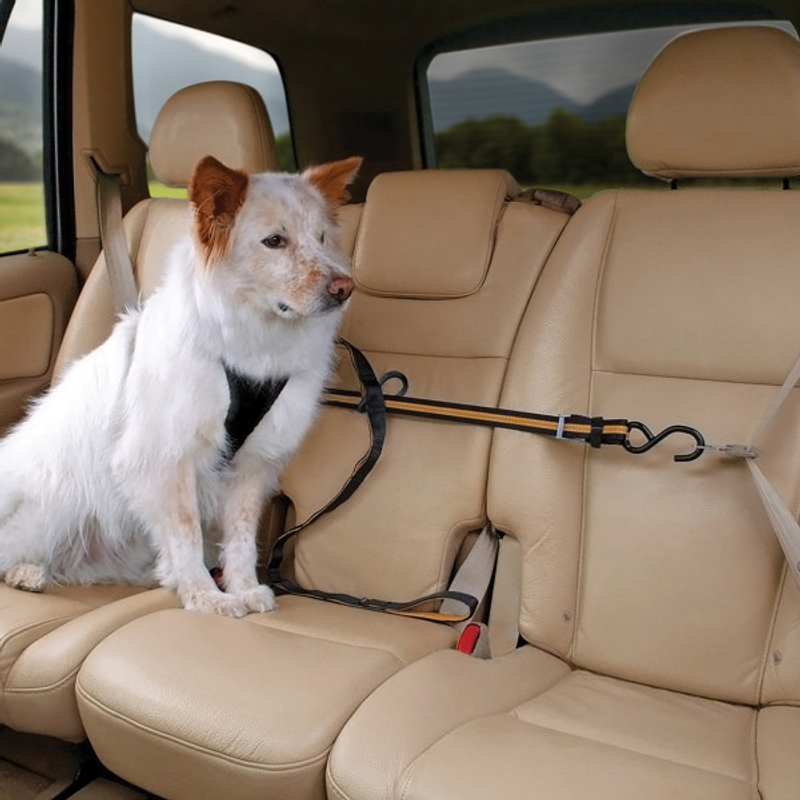 Kurgo Auto Zip Line Black/Orange - Dog Travel 