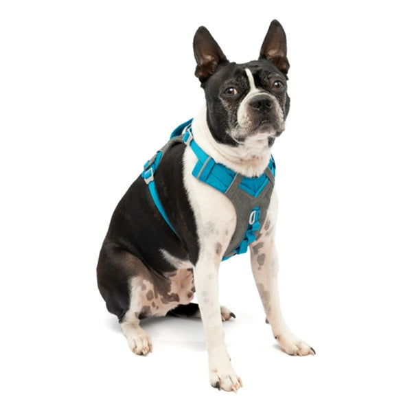 Kurgo Journey Air Harness - Blue