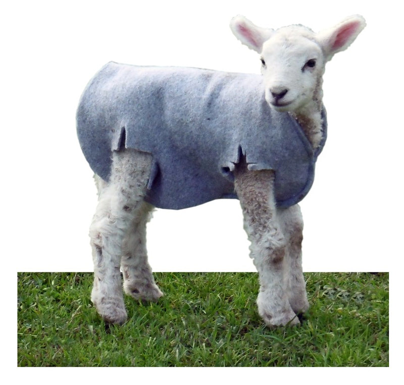 Cozy Coat Lamb Cover