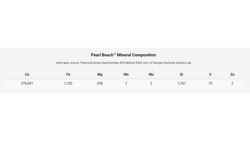 Seachem Pearl Beach 10kg