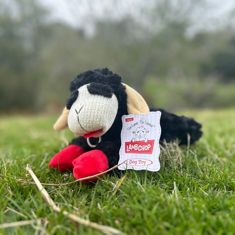 Lamb Chop Black 25cm - Dog Toys 