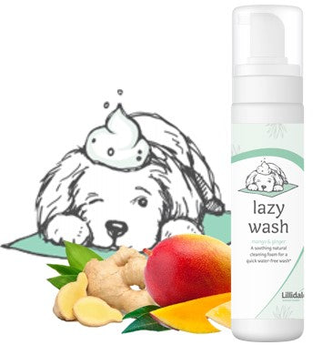 Lillidale Lazy Wash 200ml - Dog Shampoo, Conditioner and Spritzers 